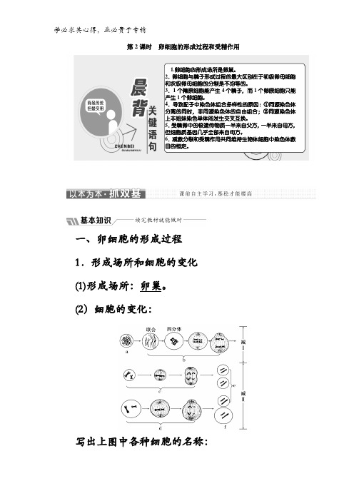 2017-2018学年高中生物二教学案：第二章第1节第2课时 卵细胞的形成过程和受精作用含答案