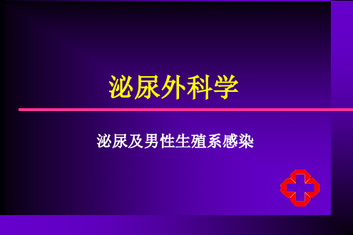 泌尿及男性生殖系感染ppt课件