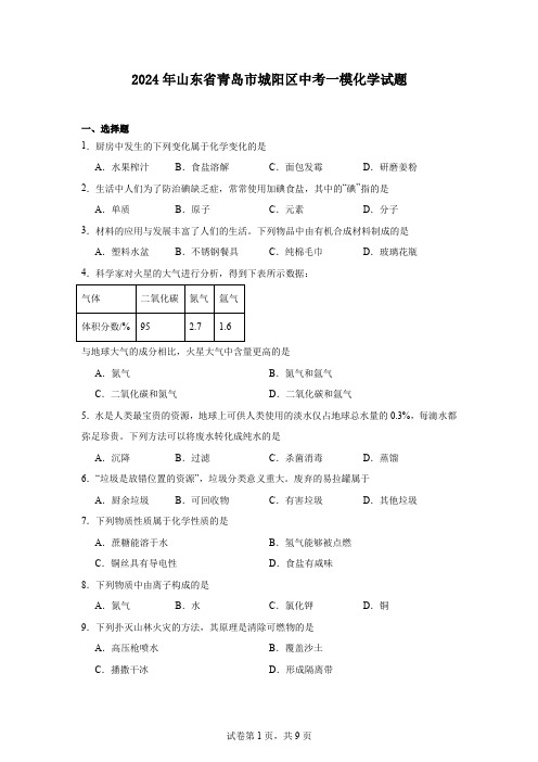 2024年山东省青岛市城阳区中考一模化学试题