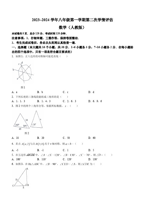 邯郸冀南新区育华实验学校2023-2024学年八年级上学期期中考试数学试卷(含答案)