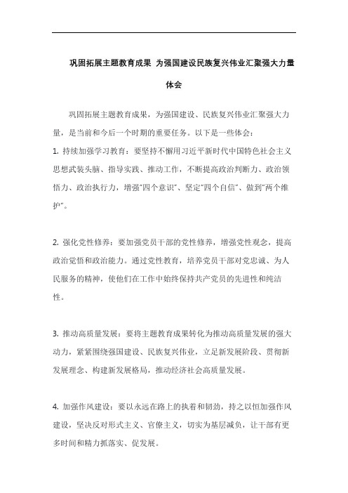 巩固拓展主题教育成果 为强国建设民族复兴伟业汇聚强大力量 体会