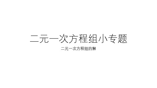 第八章二元一次方程组小专题