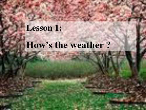 八年级下册冀教版英语unit1--lesson1-How's-the-weather？