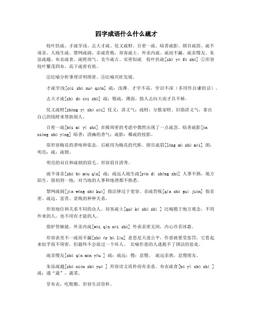 四字成语什么什么疏才