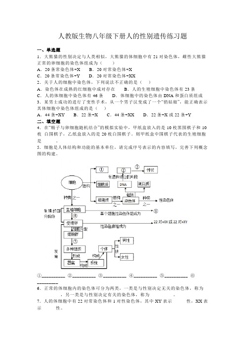 人教版生物八年级下册人的性别遗传练习题