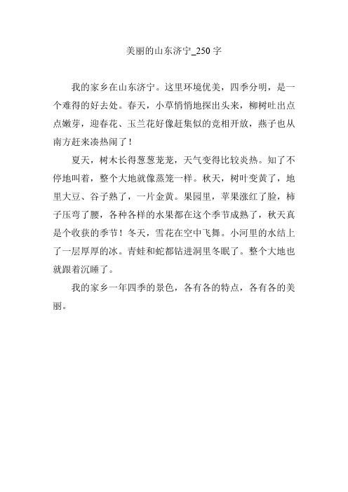 美丽的山东济宁_250字