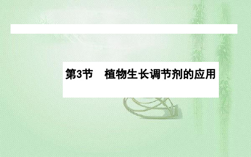 高中生物新人教版选择必修153植物生长调节剂的应用课件(71张)