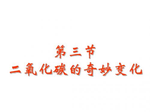 九年级化学奇妙的二氧化碳3(新编2019教材)