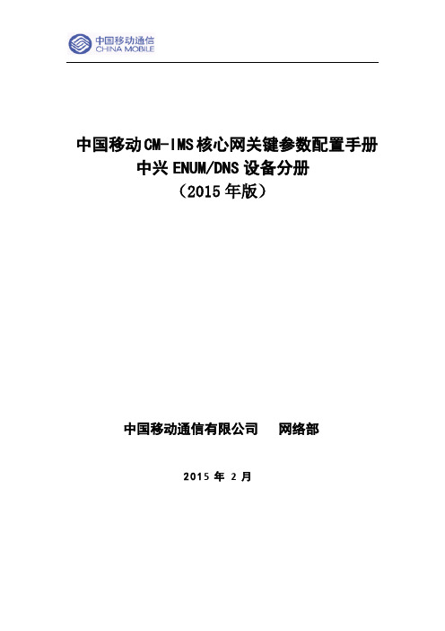 中国移动CM-IMS核心网设备关键参数配置手册--中兴ENUMDNS分册