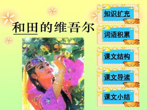 《和田的维吾尔》PPT课件(自制)3