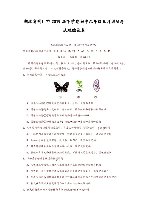 人教版湖北省荆门市2019届下学期初中九年级五月调研考试理综试卷【精品】