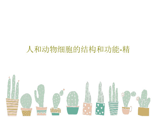 人和动物细胞的结构和功能-精PPT35页