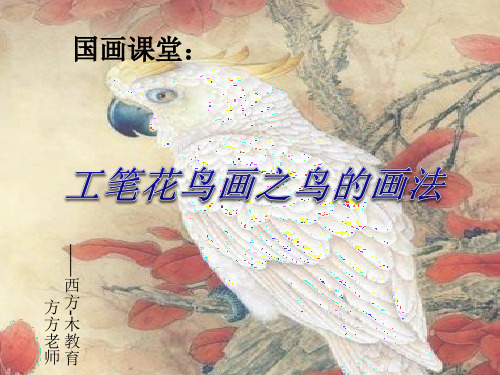 工笔花鸟画——鸟的画法5-13