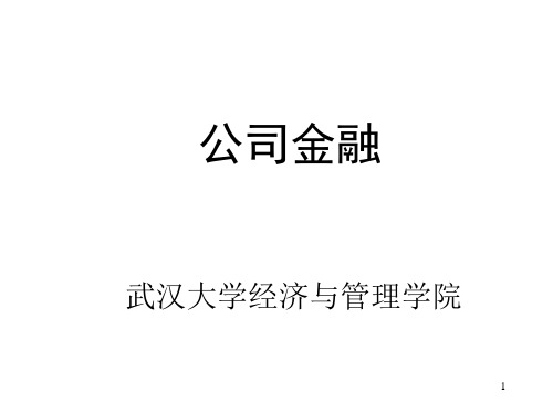 第01章公司金融概述武汉大学考研公司理财罗琦老师