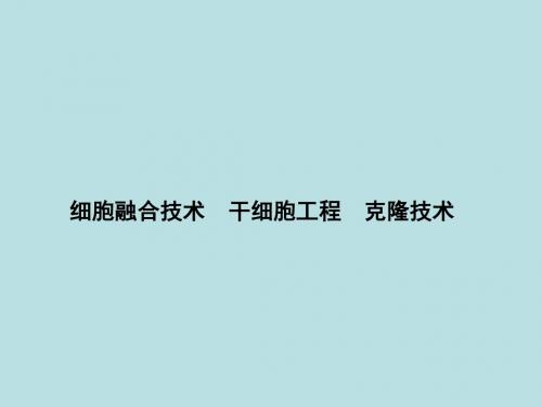 细胞融合技术、干细胞工程、克隆技术 PPT课件 人教课标版