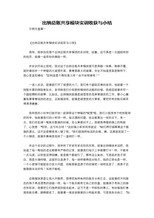 出纳总账共享模块实训收获与小结