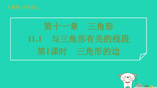 八年级数学上册第十一章三角形第1课时三角形的边习题新版新人教版