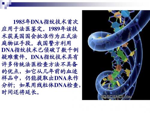 细胞中的核酸