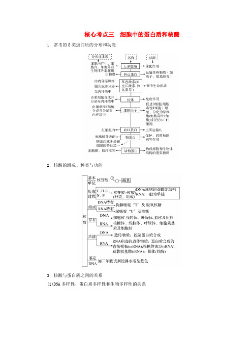 新教材适用2024版高考生物二轮总复习第1部分专题1细胞的物质基础与结构基础第1讲细胞由多种多样的分