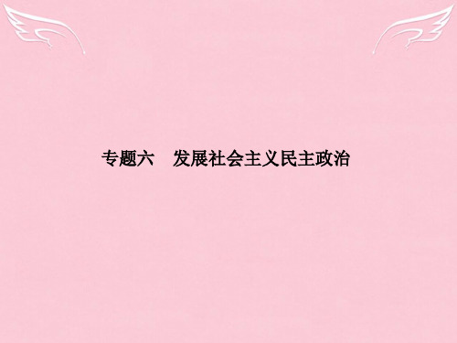 【红对勾 讲与练】(新课标)届高考政治二轮复习 专题六 发展社会主义民主政治PPT课件