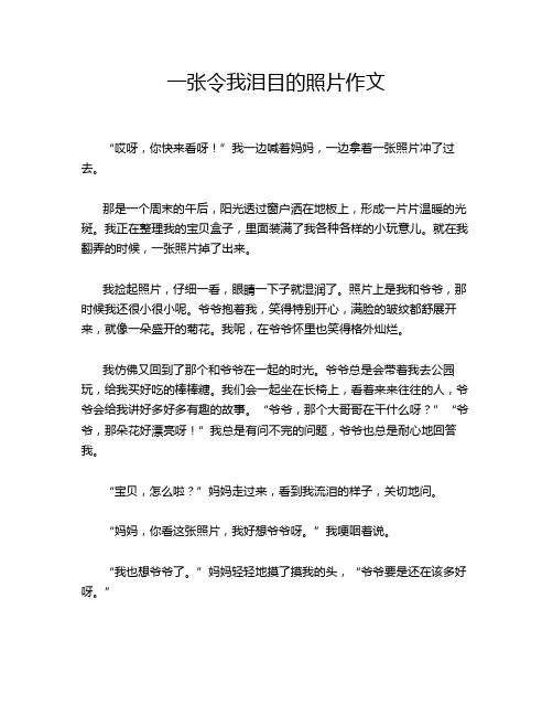 一张令我泪目的照片作文