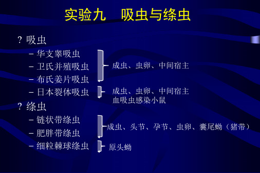 试验9吸虫绦虫