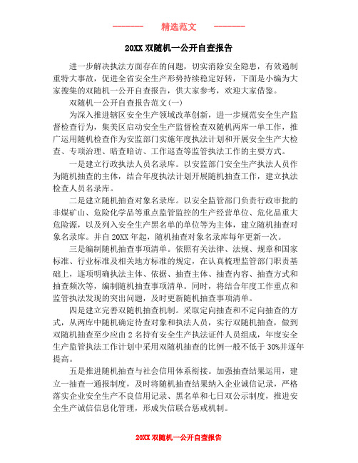 20XX双随机一公开自查报告