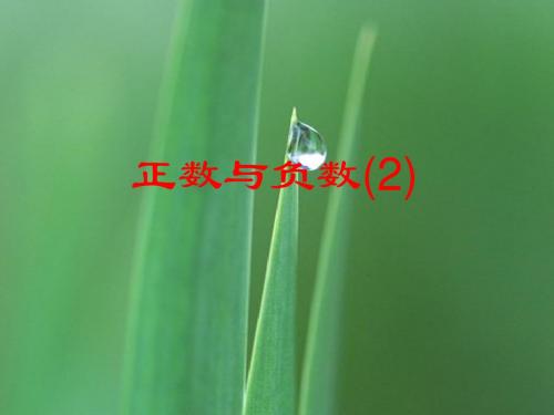 2.1《正数和负数》课件(华师大) (4)