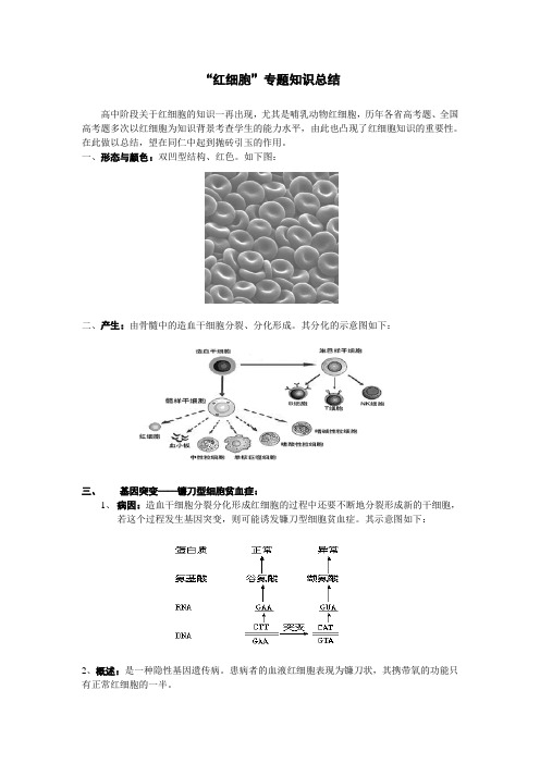 “红细胞”专题知识总结