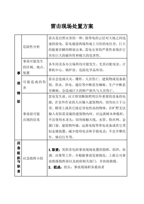 雷击现场处置方案