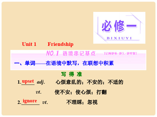 高三英语一轮复习 Unit 1 Friendship课件 新人教版必修1