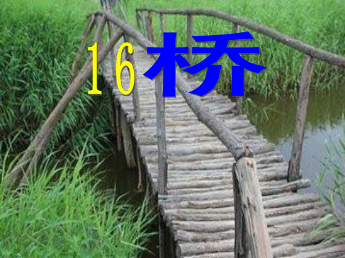 五年级下册16《桥》(完美版课件)