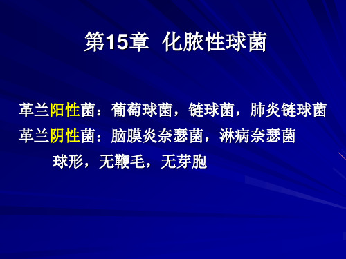 《微生物与免疫学》PPT课件之15章 化脓性球菌