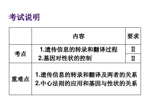 高考生物一轮复习基因的表达PPT课件