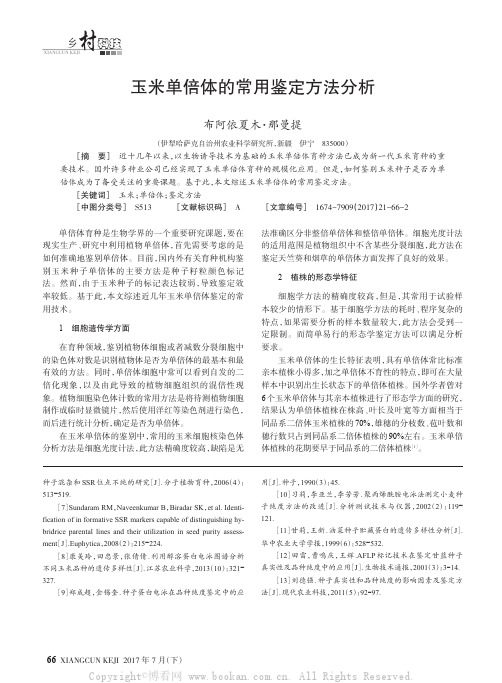 玉米单倍体的常用鉴定方法分析