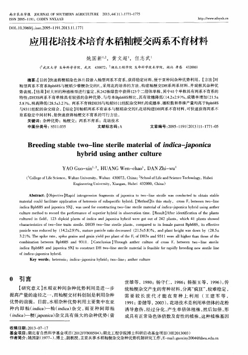 应用花培技术培育水稻籼粳交两系不育材料