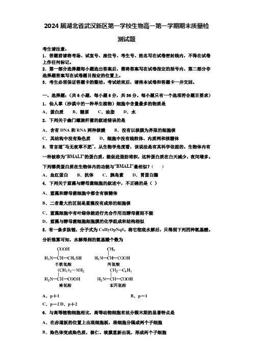 2024届湖北省武汉新区第一学校生物高一第一学期期末质量检测试题含解析