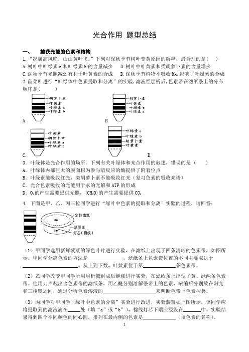 新高考一轮复习 光合作用题型总结 