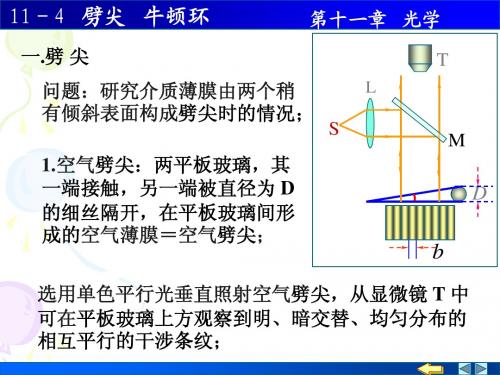 11-04劈尖 牛顿环(20)