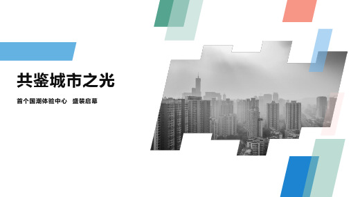 2020营销中心样板间示范区开放活动方案