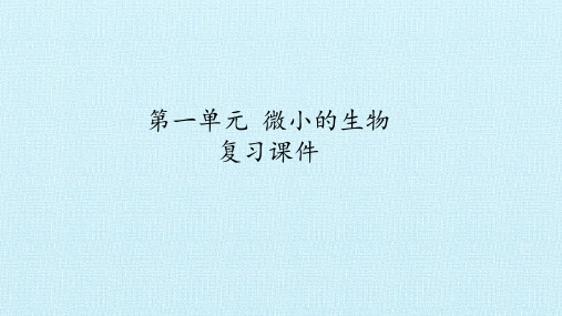 六年级上册科学课件-第一单元 微小的生物-青岛版(六年制)(共20张PPT)