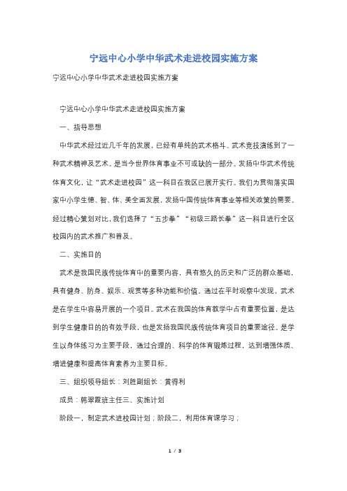 宁远中心小学中华武术走进校园实施方案