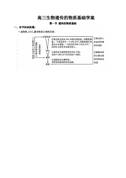 高三生物遗传的物质基础学案