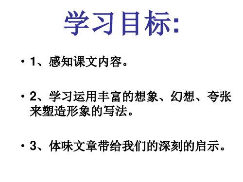 丑小鸭2(PPT)5-1