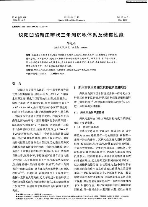 泌阳凹陷新庄辫状三角洲沉积体系及储集性能