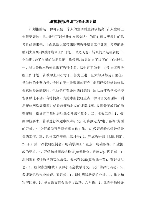 职初教师培训工作计划5篇