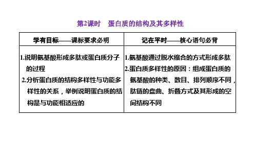 2022-2023学年 人教版   必修一 蛋白质的结构及其多样性 课件 (46张)