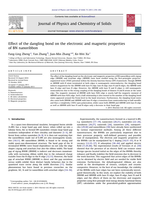 Effect ofthedanglingbondontheelectronicandmagneticproperties