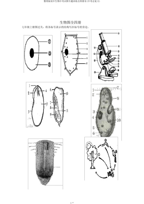 整理版初中生物中考识图专题训练全四册有(中考总复习)