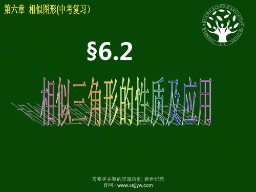 中考复习课件：第4单元 三角形(6课时)-3